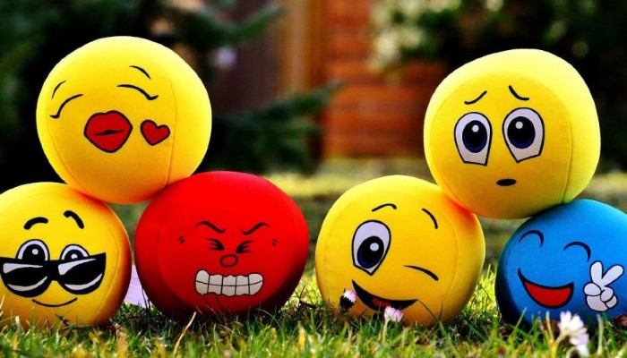 1626079035548 Image (14)