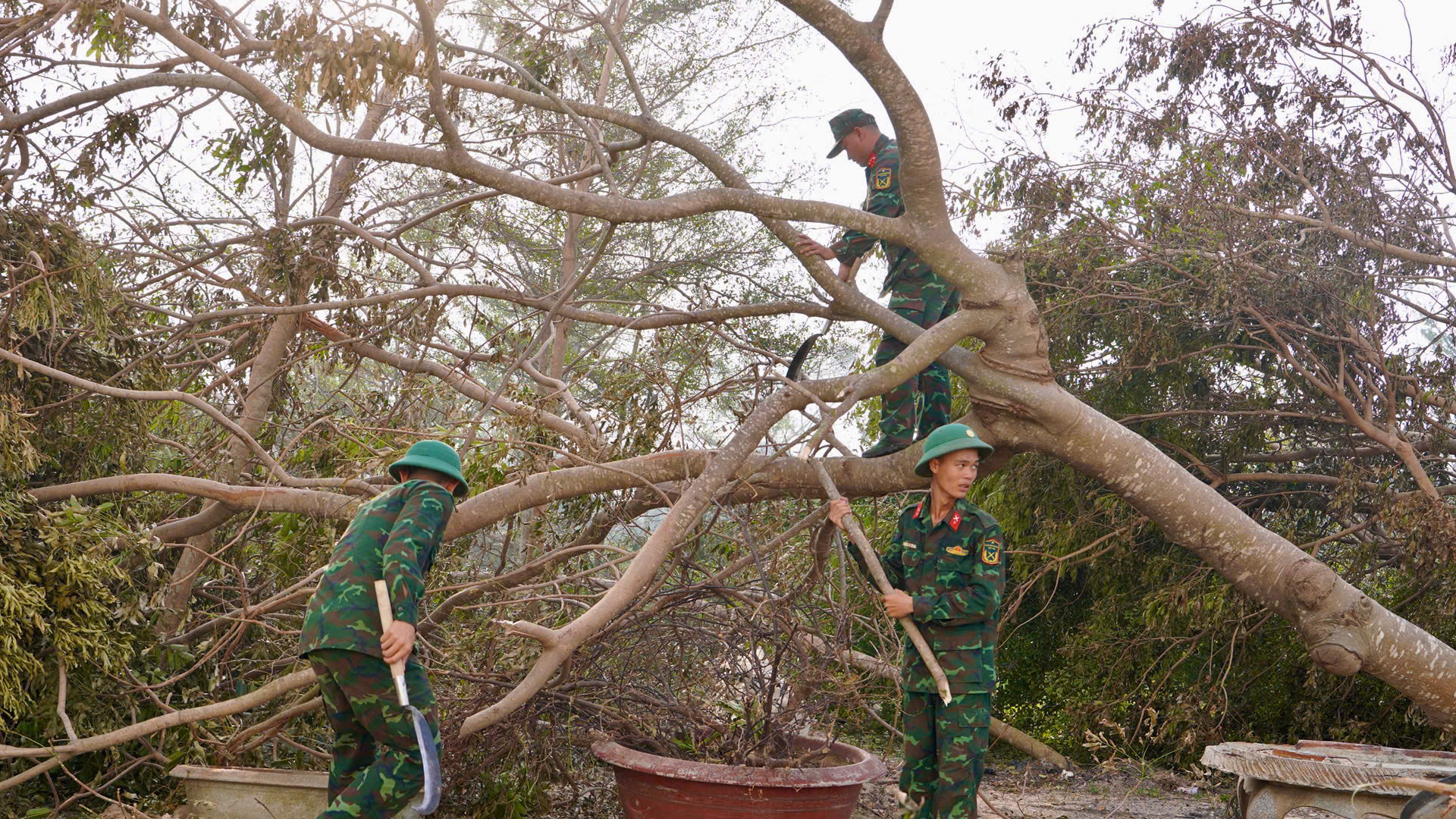 Nghĩa tình quân – dân: Trung đoàn 739 sát cánh cùng Trường Đại học Quang Trung vượt qua bão số 13 3 16552052201452093304