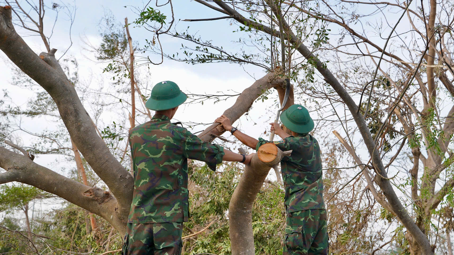 Nghĩa tình quân – dân: Trung đoàn 739 sát cánh cùng Trường Đại học Quang Trung vượt qua bão số 13 4 3496330949750740029